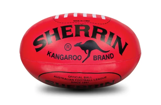 Sherrin Over The Door System With Ball 4 Sherrin Over The Door System With Ball - Image 2