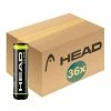 Head Team Box Of Balls (36 X 4 Ball Can) -Steeden Shop 575704X36