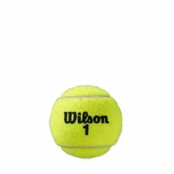 Wilson Roland Garros Clay Court 4 Ball Can 12 Can Case -Steeden Shop T11500X12 3
