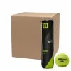 Wilson Tour Premier Grass Court 4 Ball Can 18 Case -Steeden Shop WR8200101001X18