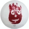 Wilson Castaway Volleyball -Steeden Shop WTH4615XDEF